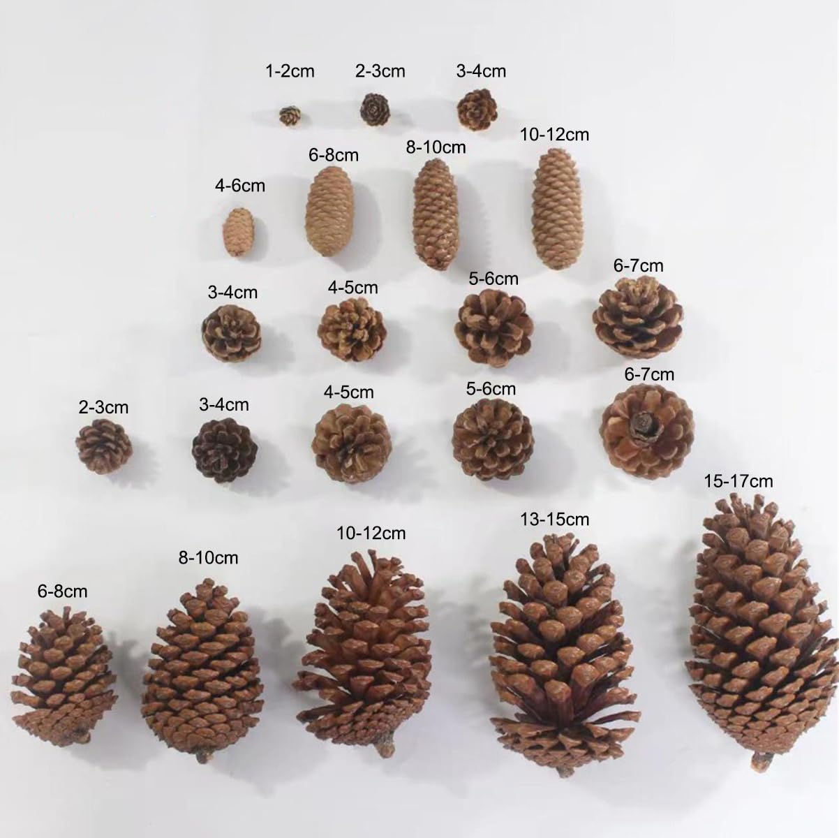 20 conos de pino natural para manualidades, mini piñas de 6 a 7 cm, adornos de piñas pequeñas naturales a granel para manualidades, árbol de Navidad, corona, relleno de jarrón, fiesta de boda