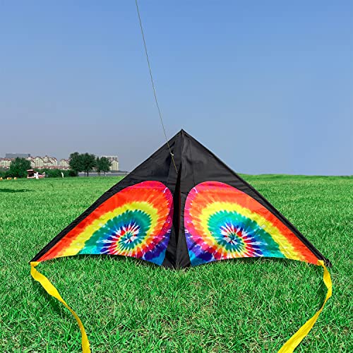 LANRUI Delta Kite for Kids & Adults, Extremely Easy to Fly Kite, Best Kite for Beginner,Kites for Kids Ages 4-8 - Thumbnail 2