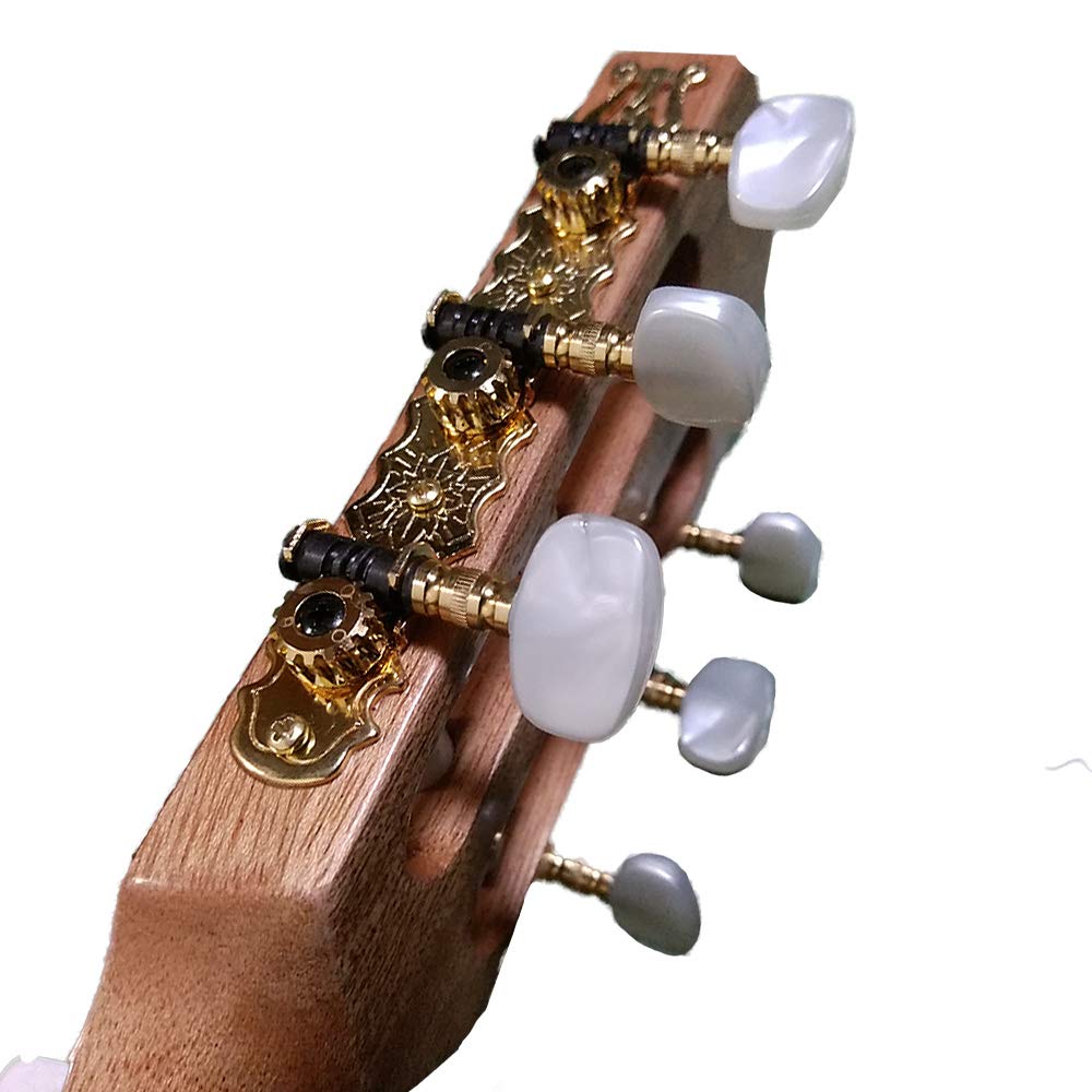 Amazon | Kremona Guitars ミニクラシックギター SOFIA GUITAR S48C 