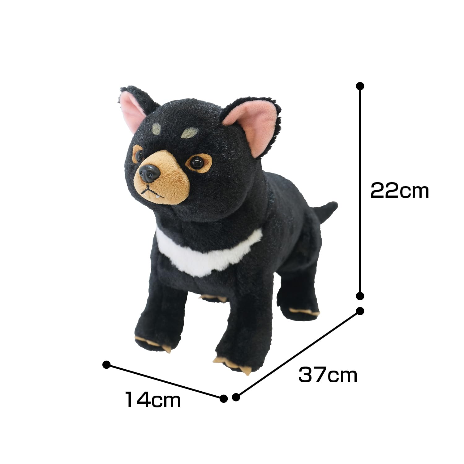 Amazon.co.jp: サンレモン フラッフィーズ M タスマニアデビル 14×37