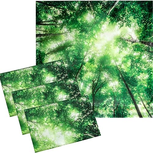 Image of VIHOSE 4 Pcs 2 x 2 Feet Fluorescent Light Covers for Ceiling Lights Classroom Magnetic Light Filters for Reducing Harsh Glare Flicker for Office Classroom Home Drop Ceiling(Forest)