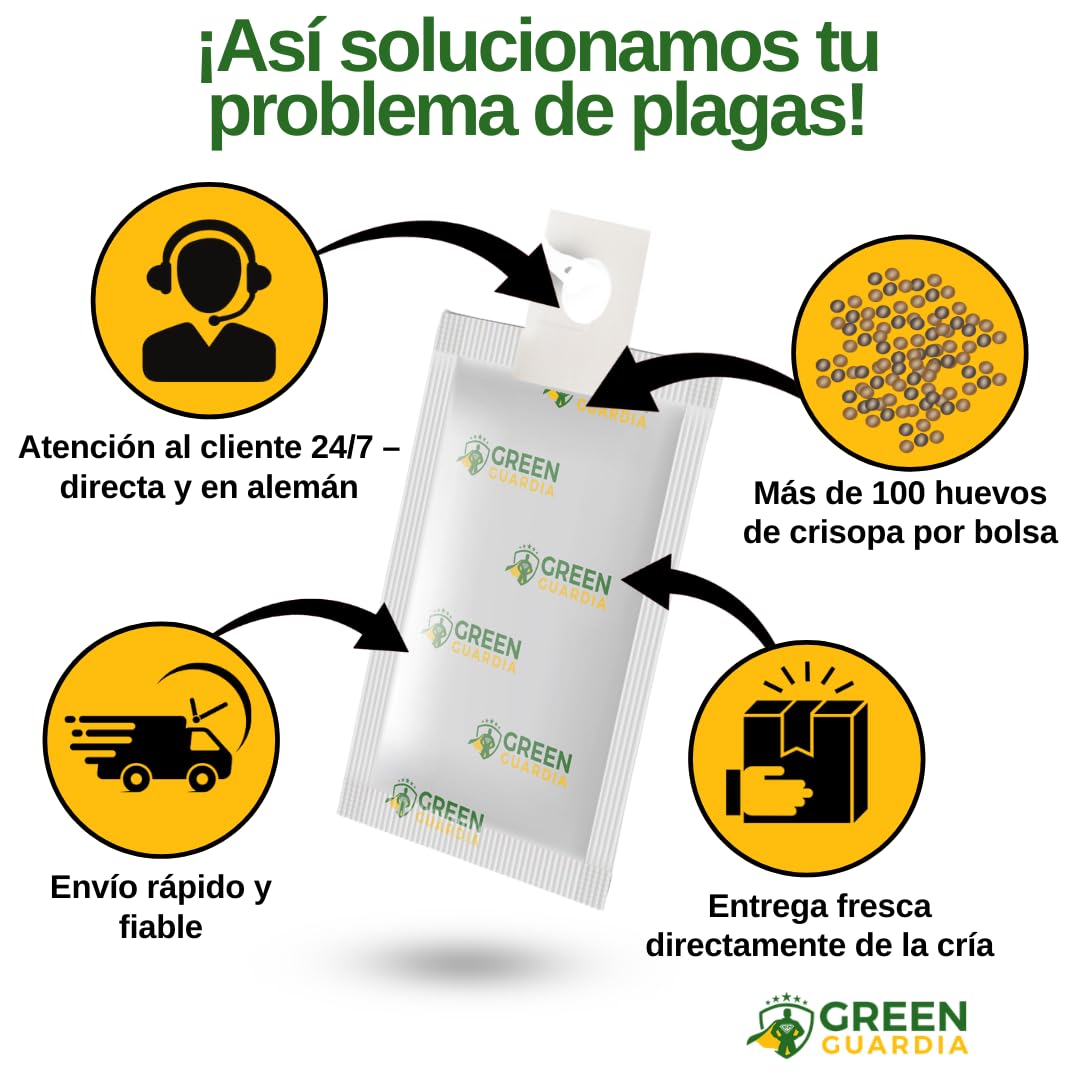 GREEN GUARDIA Huevos para larvas de crisopas contra pulgones y cochinillas – 1 bolsa – agente biológico para combatir eficazmente pulgones y cochinillas para plantas de interior y ornamentales UVM.