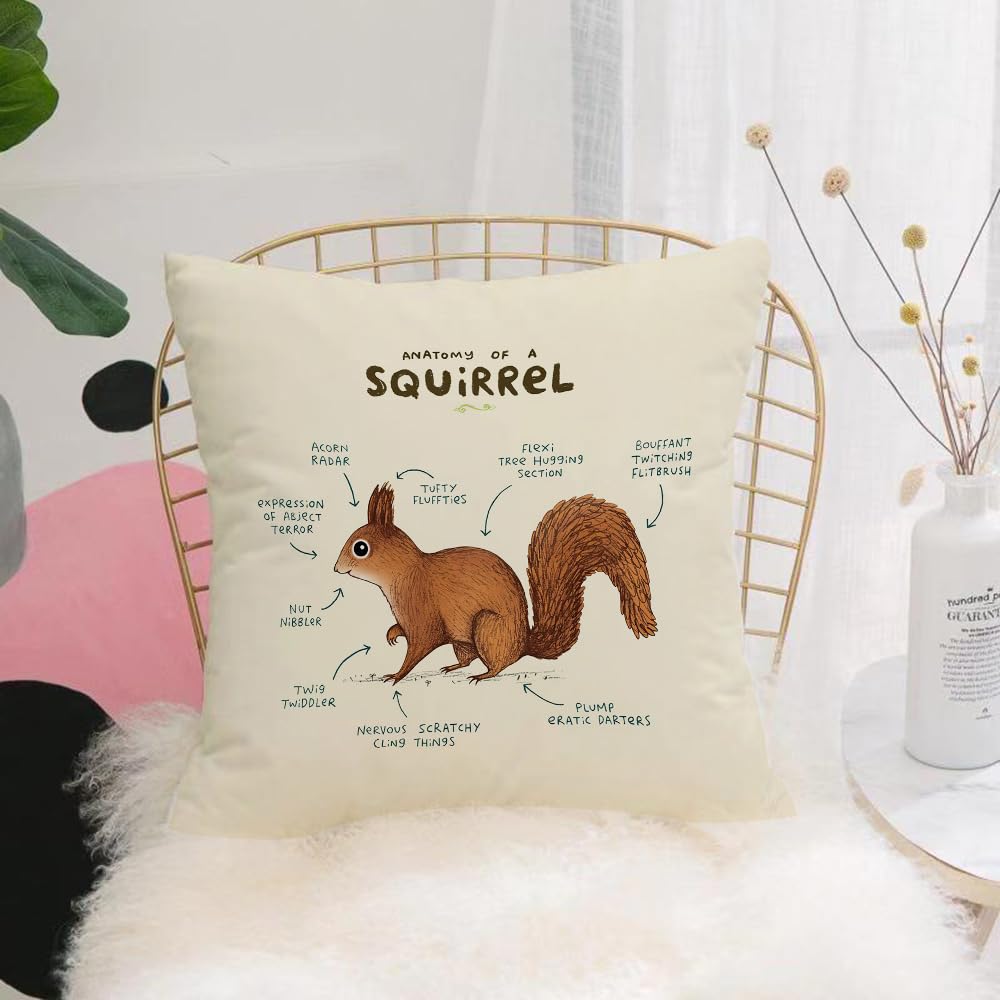 HYOSXW Cushion Cover,Throw Pillow Case Home Decorative for Living Room Bedroom Sofa Chair 16X16 Inch,Diagram showing different parts of squirrel,Pillowcase 40X40cm