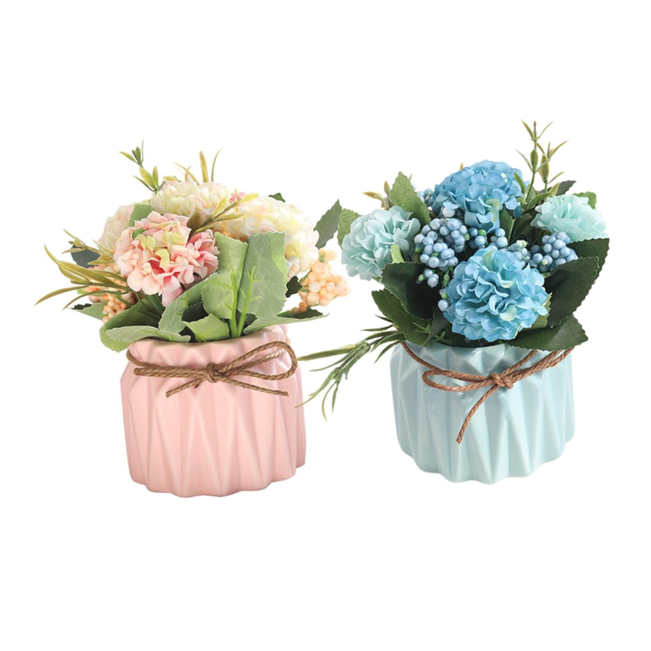 Fleurs en pot pour decoration interieure et coin de bureau sombre