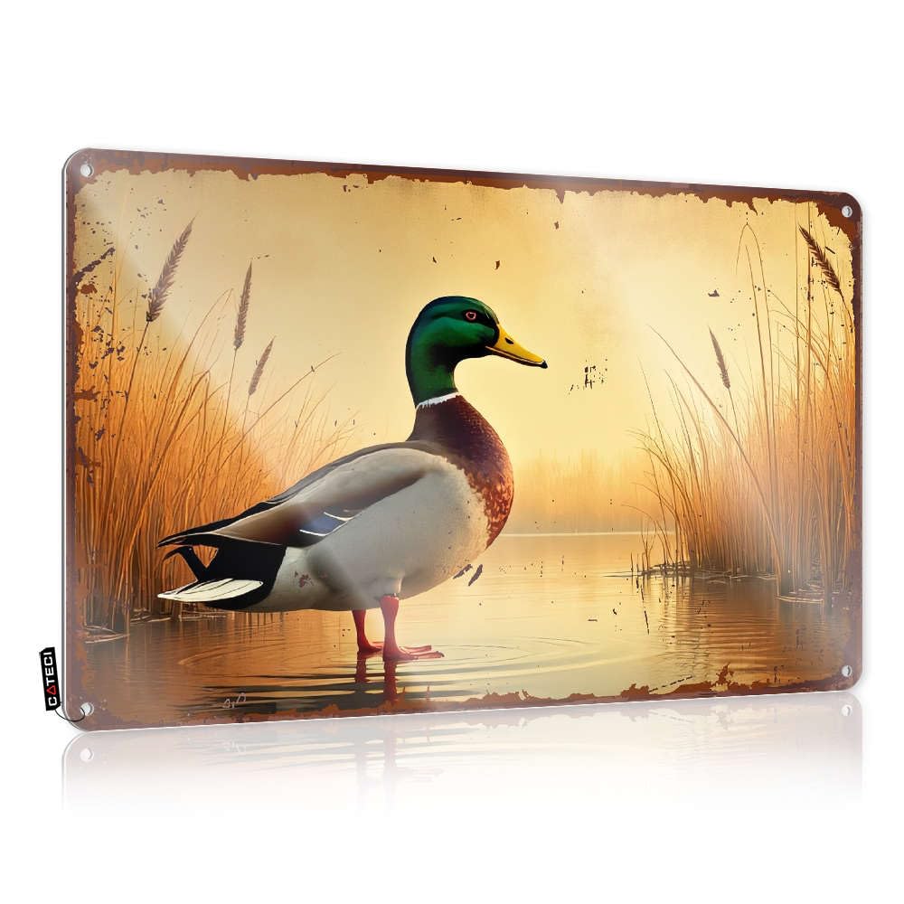Artwork Accessories Farmhouse Signs - A Mallard Duck Stands In A Serene, Sunlit Marsh. Sweet Metal Wall Art Ready To Hang For Garage Bar(30X40CM)