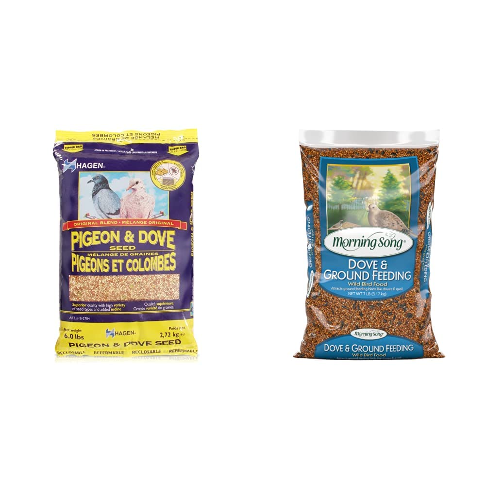 Hagen Pigeon & Dove Seed, Nutritionally Complete Bird Food, Original Version, 6 Pound & Morning Song Dove & Ground Feeding Wild Bird Food, Quail, Pigeon and Dove Food Seed Mix, 7-Pound Bag