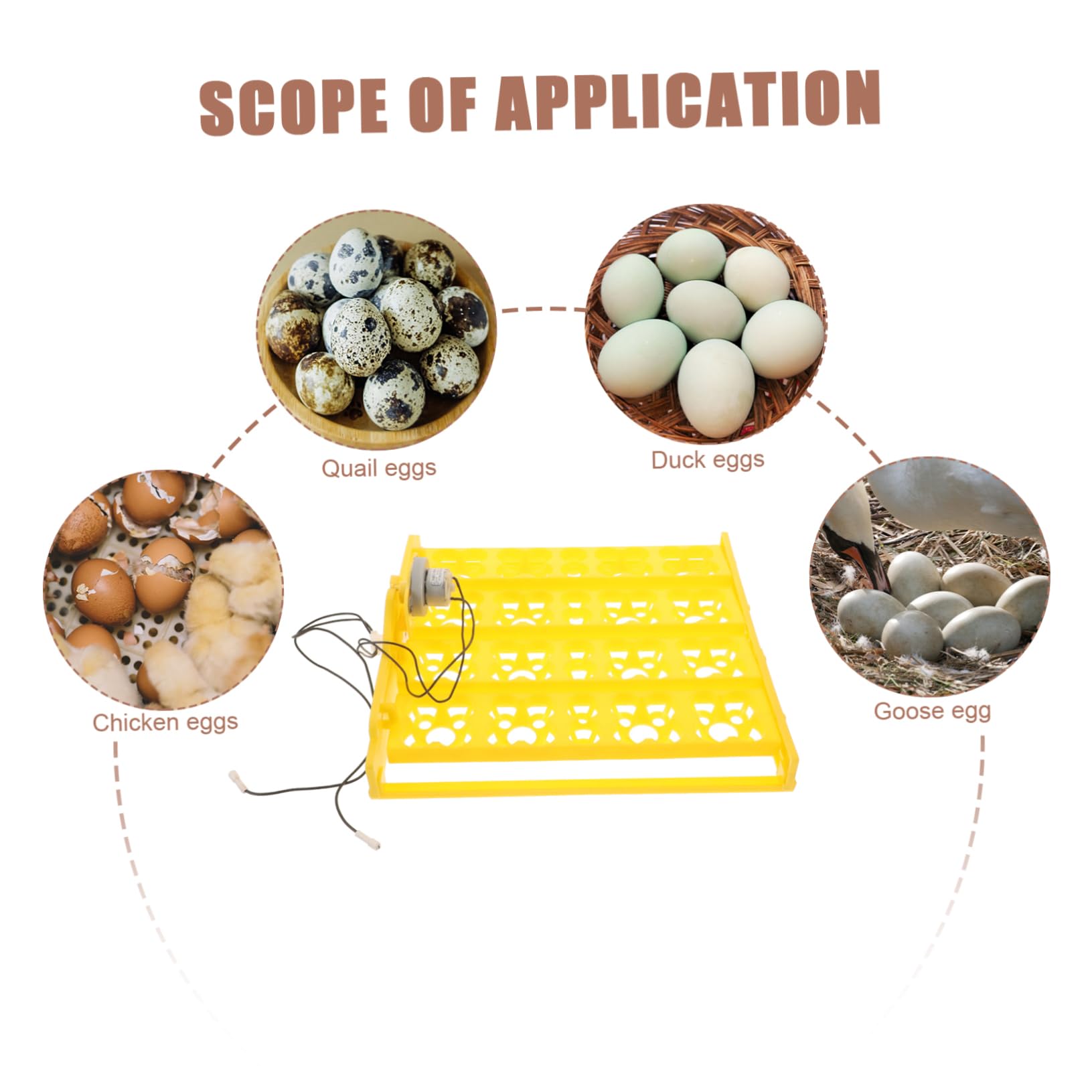 Happyyami Vassoio in o per Osservazione Domestico Laboratorio per Uso in 16 Incubatrice Automatico Girare Plastica Gialla Riutilizzabile 72 Pezzi Uova di Gallina Oca