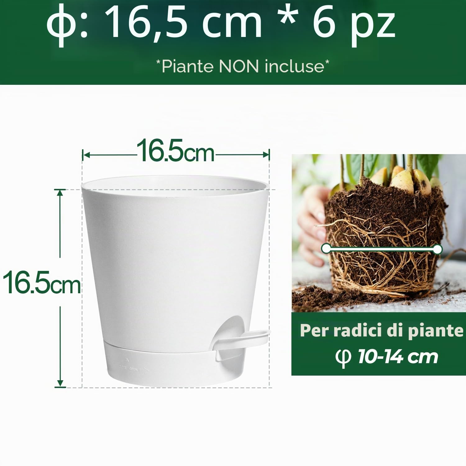 T4U Vasi Autoirriganti, Vasi da Interno 16,5 cm Set da 6 Bianco
