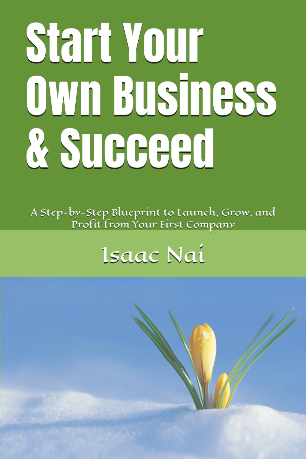Start Your Own Business & Succeed: A Step-by-Step Blueprint to Launch, Grow, and Profit from Your First Company (Wealth Creation Strategy)