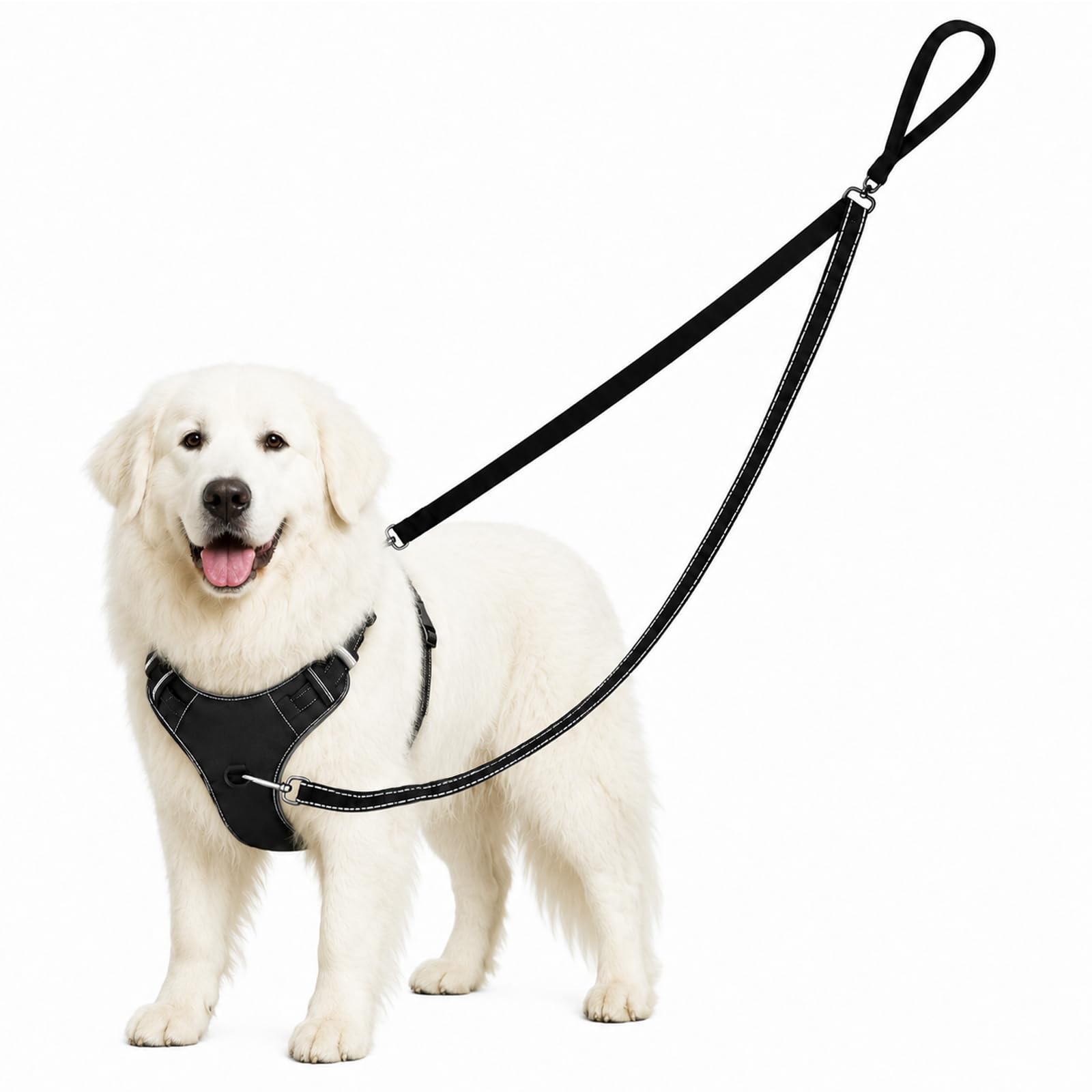 2PCS Double Ended Lead for Dogs, No Pull Dog Training Lead for Dogs
