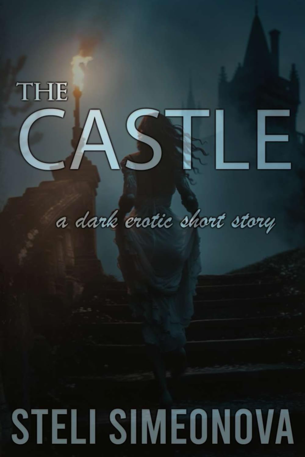The Castle: A dark erotic short story (Chasing In The Dark)