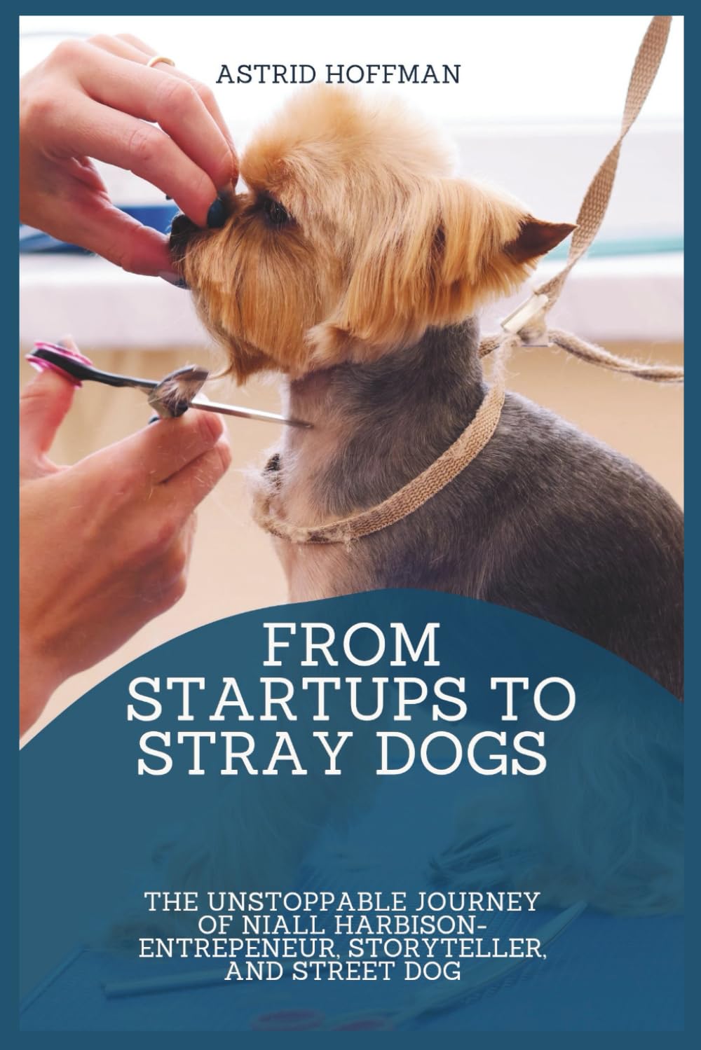 From Startups To Stray Dogs: The Unstoppable Journey Of Niall Harbison-Entrepeneur, Storyteller, and Street Dog