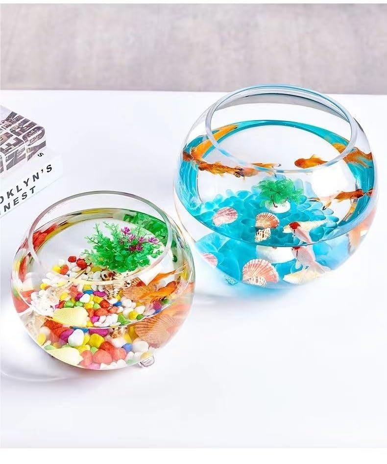 Amazon | 金魚鉢 水槽 飼育水槽 丸型水槽 ック テラリウム 観葉植物
