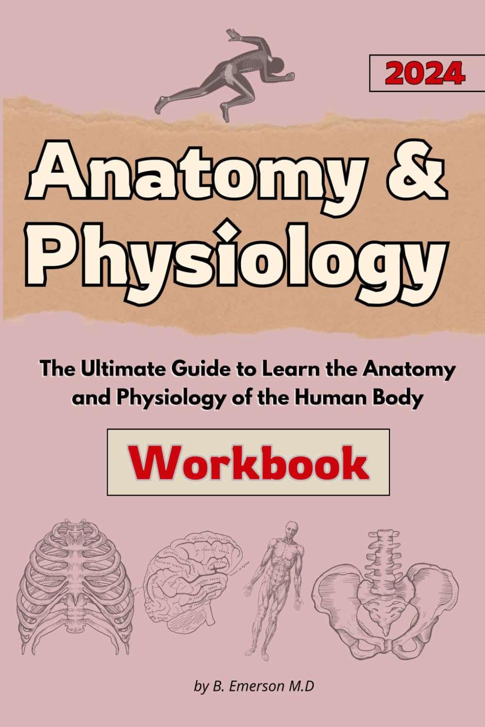 Anatomy and Physiology Workbook 2024: The Ultimate Guide to Learn the Anatomy and Physiology of the Human Body