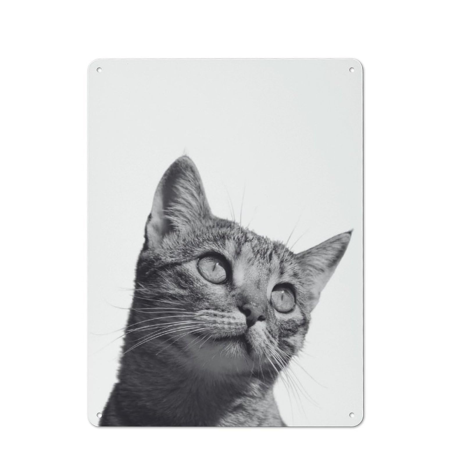 Junmoney Cat Kitten Animals Retro Metal Wall Sign 40X30cm With For Bar Or Restaurant, A Housewarming Gift For Hospitality Decor Collectors