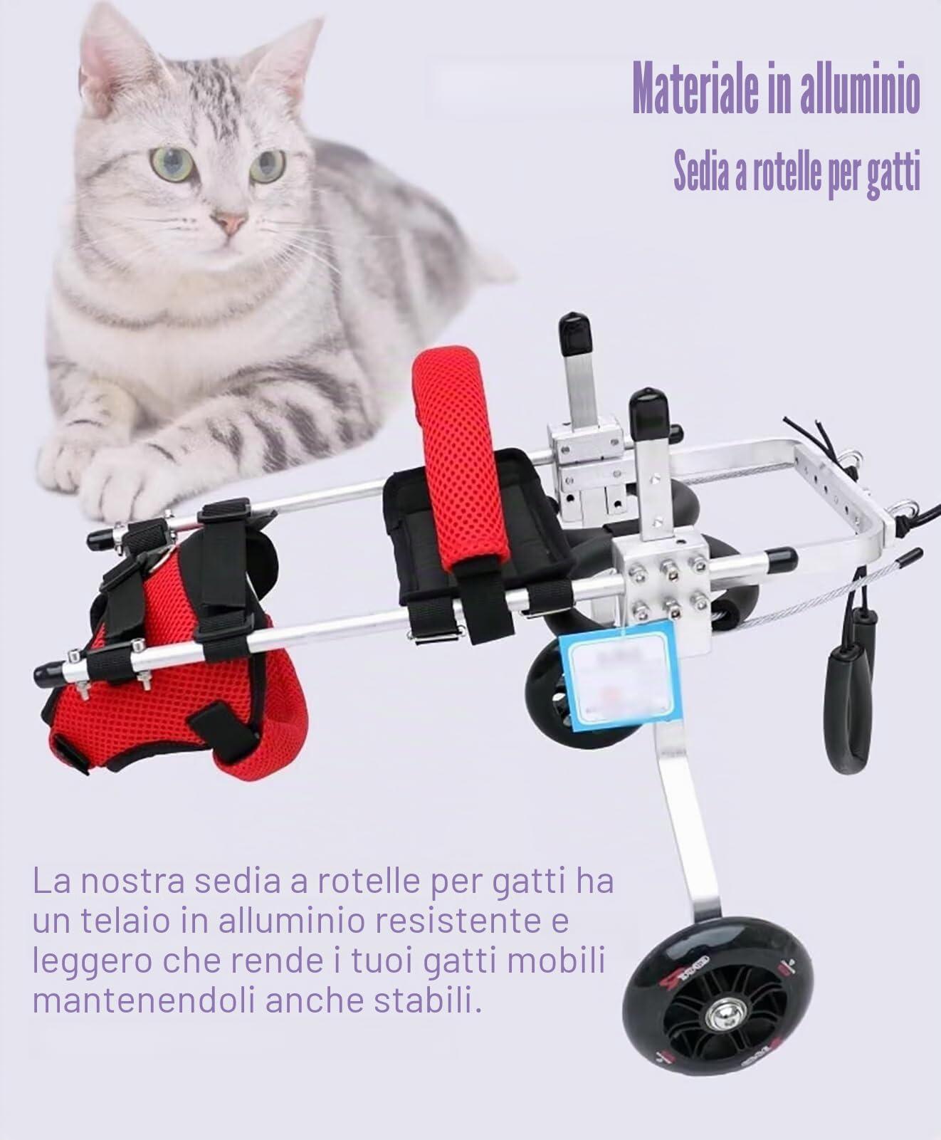Sedia a rotelle per Gatti per Gambe Posteriori paralizzate, Attrezzatura per camminatore per Sedia a rotelle per Animali Domestici in Alluminio, Carrello con Ruote per addestramento alla(Righello: S)