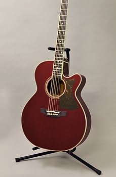 Takamine DMP50S Natural タカミネ　エレアコ Plek済み Takamine DMP50S WR エレアコギター ギグケース付属 【島村楽器