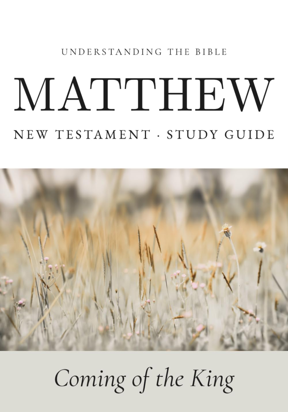 Understanding the Bible — Matthew: Interactive Gospel of Matthew Workbook — New Testament Study Guide for Beginners and Small Groups (Bible Study Guides: Book‑by‑Book)