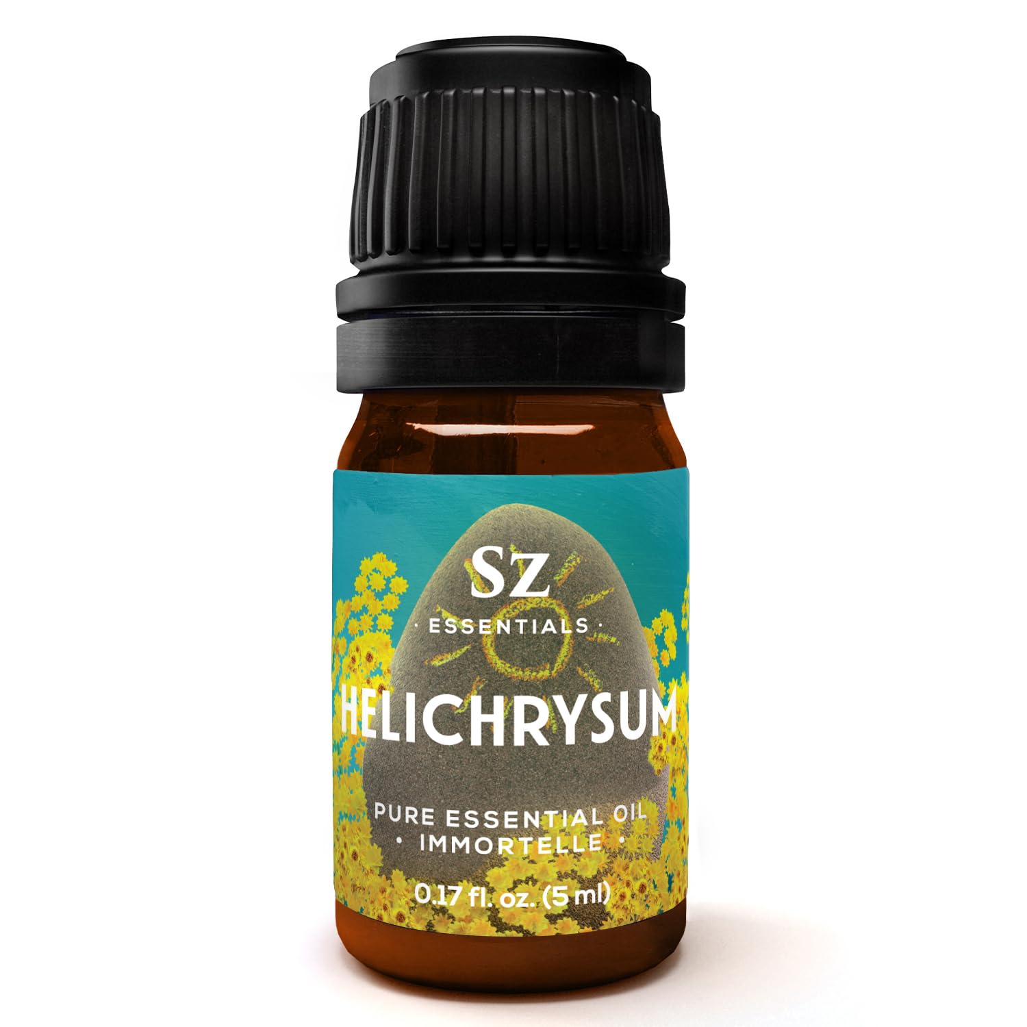 Helichrysum italicum - Kerrieplant