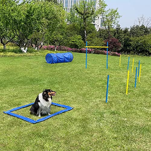 Dog Agility Equipment Best Wooden Seesaw for Dogs