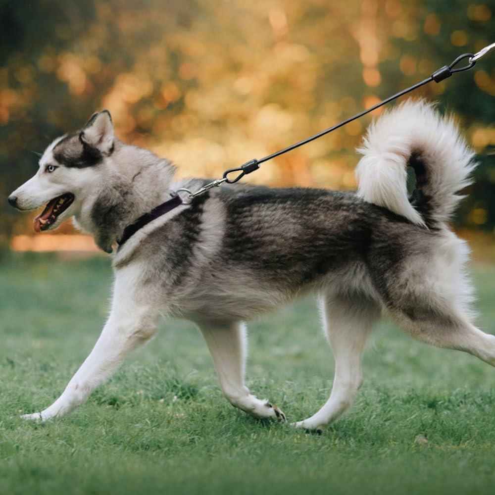 netto trockenfutter hunde Trockenfutter mit Huhn & Süßkartoffel für Hunde main image 0