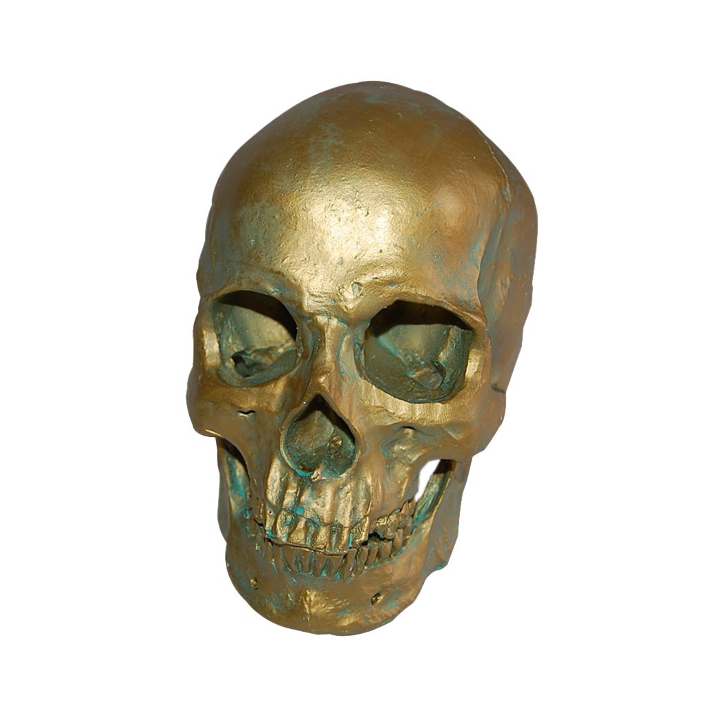 Cráneo Humano de Resina Escultura Decorativa Cabeza Artificial Esqueleto Animal Hecho a Mano Adecuado para Fiestas Enseñanza Y Bar, Bronce Antiguo 1, Individual