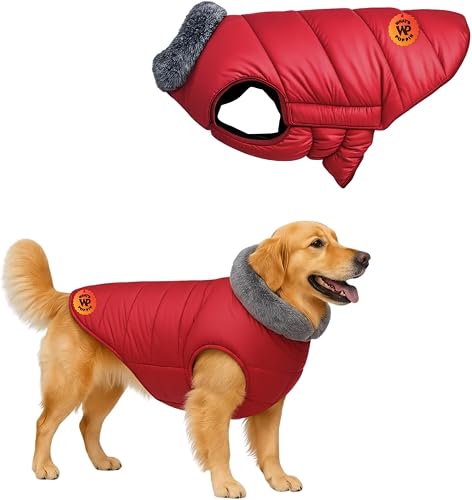 What's Poppin Dog Fur Quilt Red Coat | Warm Quilted Winter Jacket with Faux Fur Collar | Cozy Insulated Dog Coat with Adjustable Straps & Weather-Resistant Fabric | Outdoor Walks (6XLarge - 30inch)