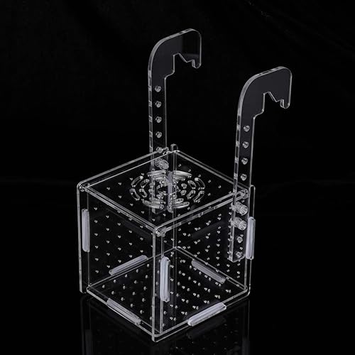 Miniatura 47 de Caja de cría de peces, caja de incubadora de incubadora, cajas de cría de peces de acuario, cajas divisorias para eclosionar, accesorio