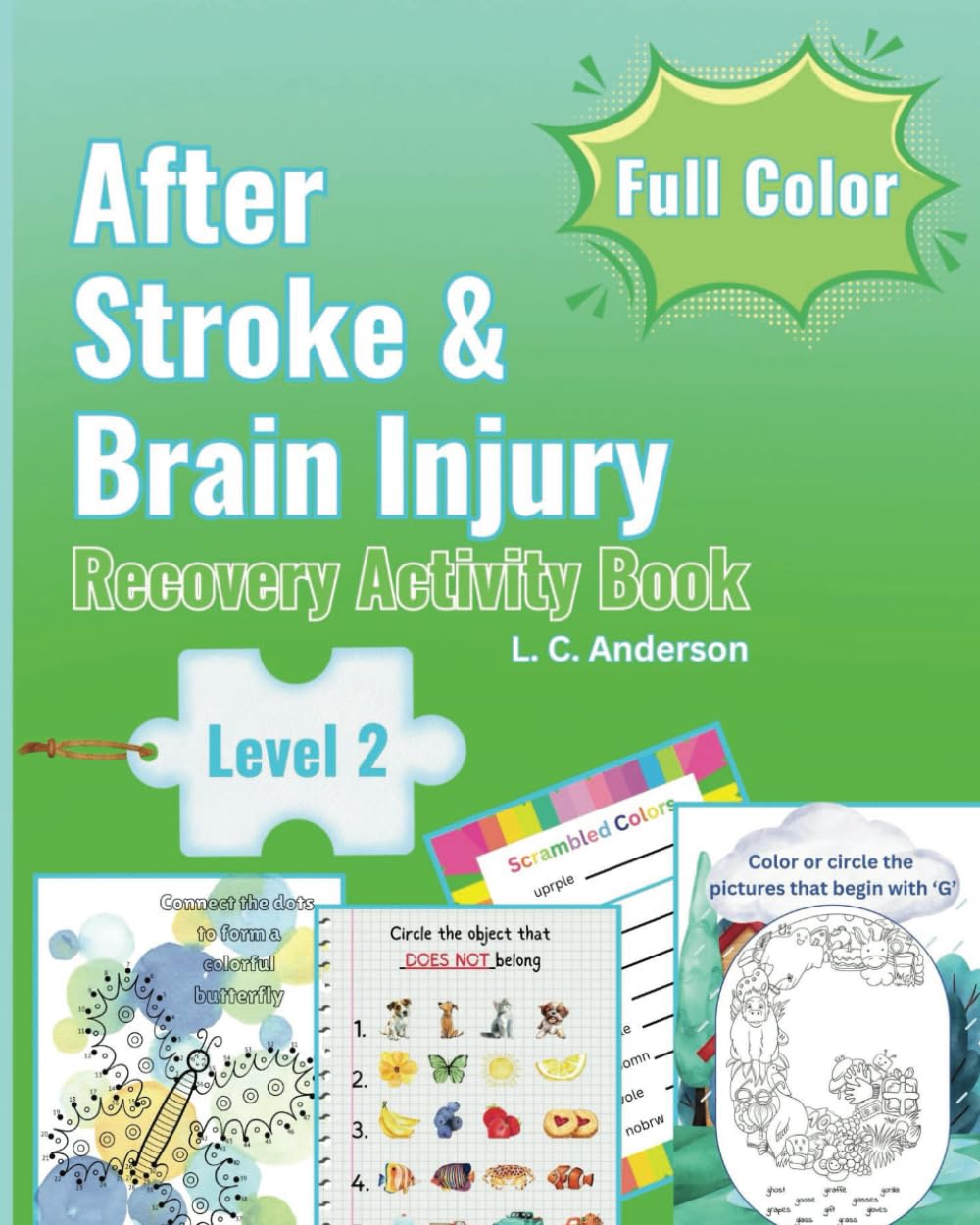 After Stroke and Brain Injury: Recovery Activity Book - Level 2