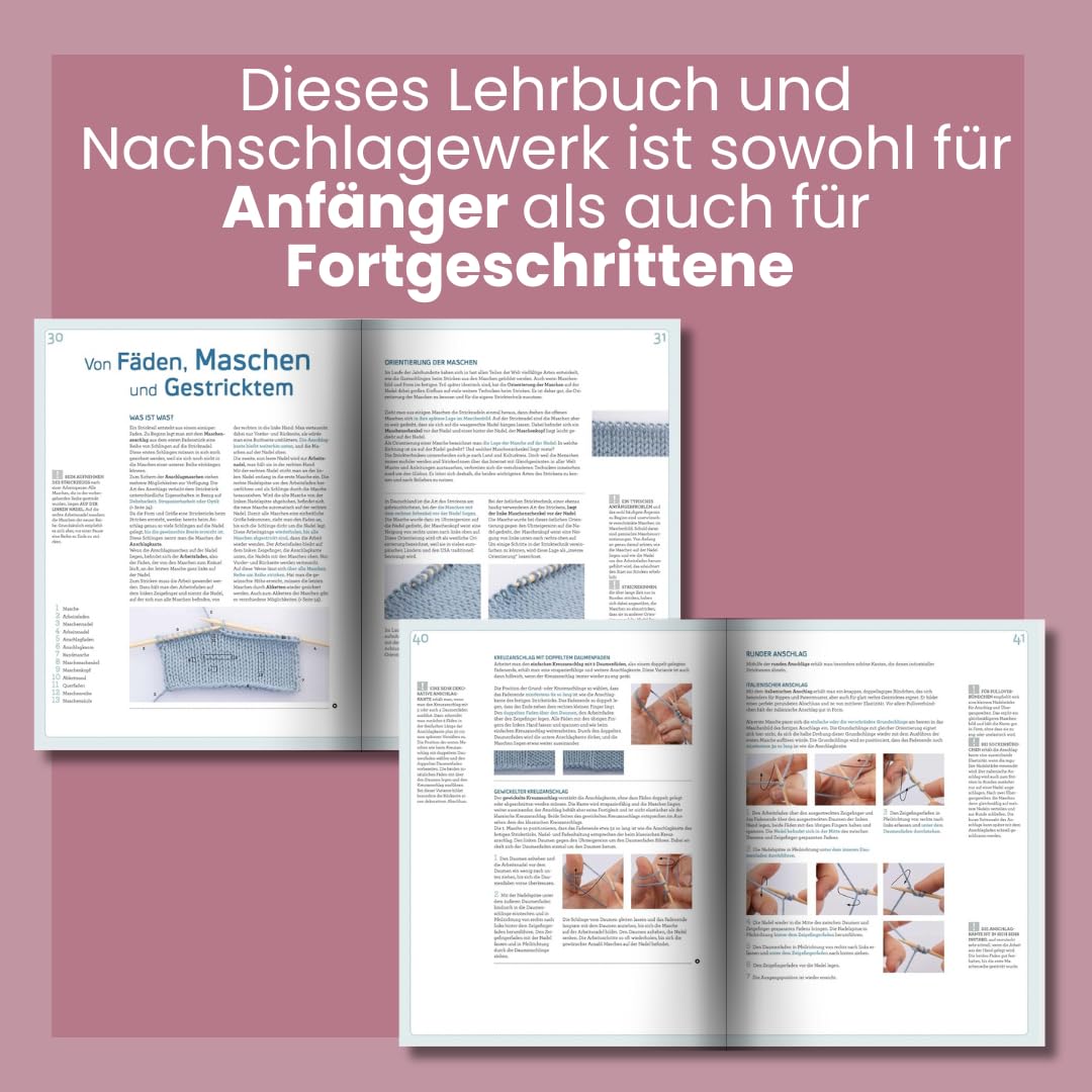 Stricken - Das Standardwerk: Das erfolgreichste Grundlagenwerk. Mit vielen aktuellen Trend- und Spezialtechniken, über 1.200 Abbildungen, 100 FAQs und 180 Minuten Online-Videos