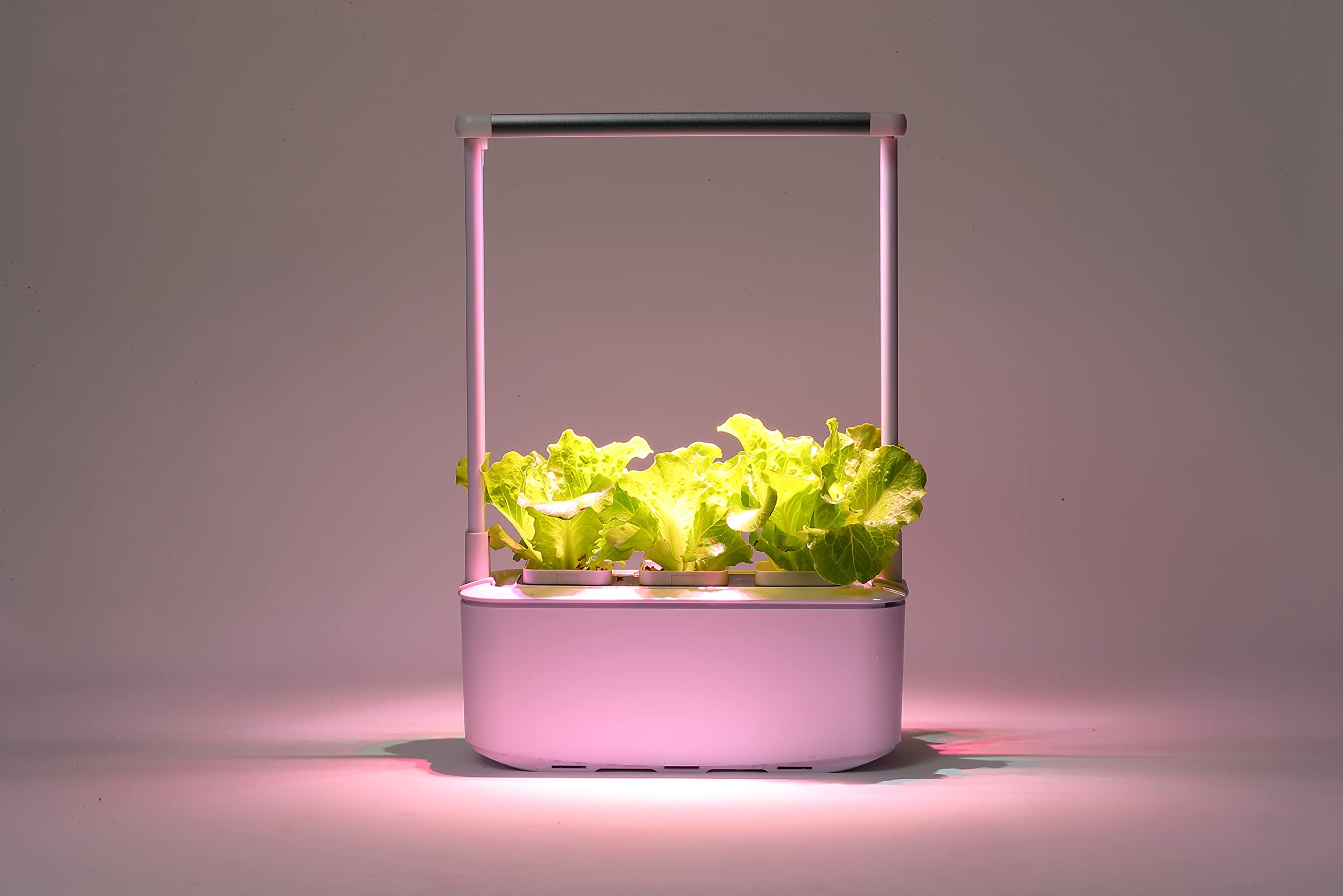 Bowry Hydroponics Indoor Growing Smart System With LED Grow Light Height Adjustable For Herbs Flowers Vegetables M6200