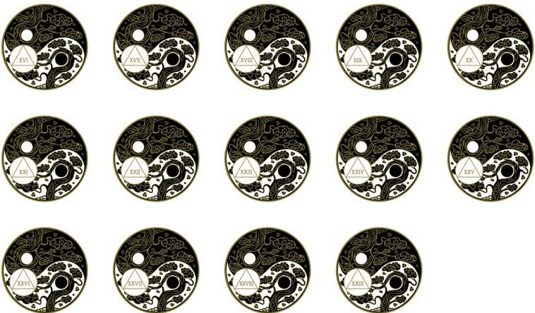 RecoveryChip27 Year AA Medallion Sakura Tree Cherry Blossom Ying Yang Black and White Serenity Prayer Medallion