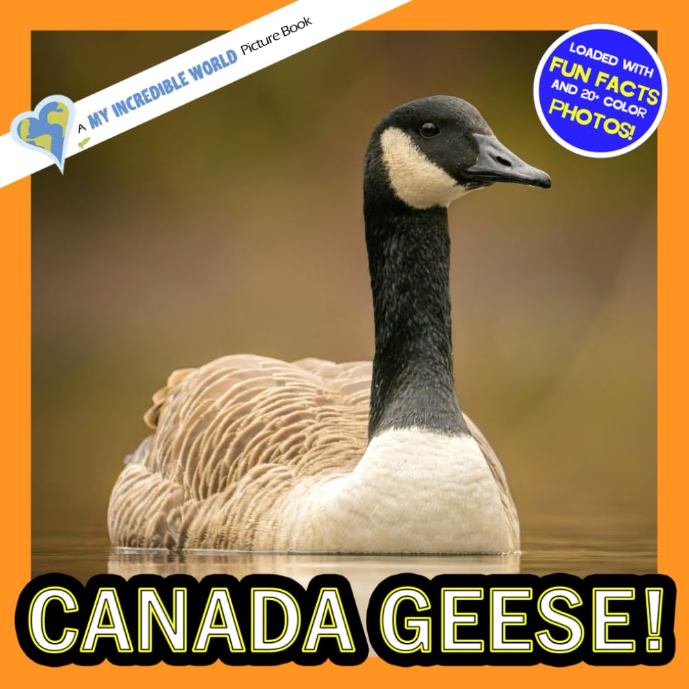 Canada Geese!: A My Incredible World Picture Book for Children (My Incredible World: Nature and Animal Picture Books for Children)