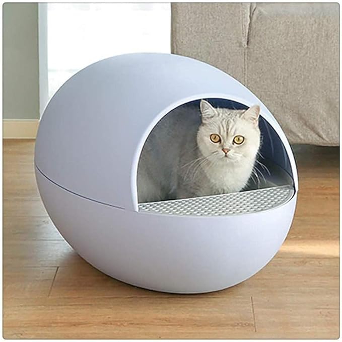 automatic cleaning of feces cat