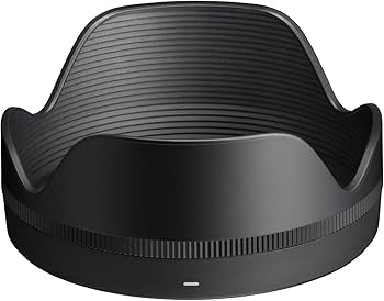 SIGMA 16-30mm F3.5-6.7 DC OSズームレンズ SONY Amazon.co.jp: シグマ(Sigma) レンズ 16-300mm F3.5-6.7 DC OS Sony E