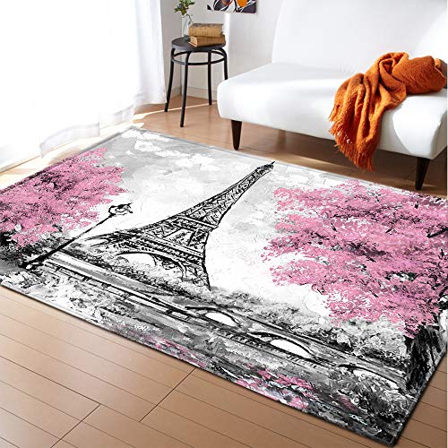 Mateju Moderne Tapis de Salon, Flanelle Tapis Antidérapants, Grand Tapis de Zone, 3D Tour Eiffel Tapis pour Salon Couloir Cuisine Chambre Décor (60x90cm,Gris...