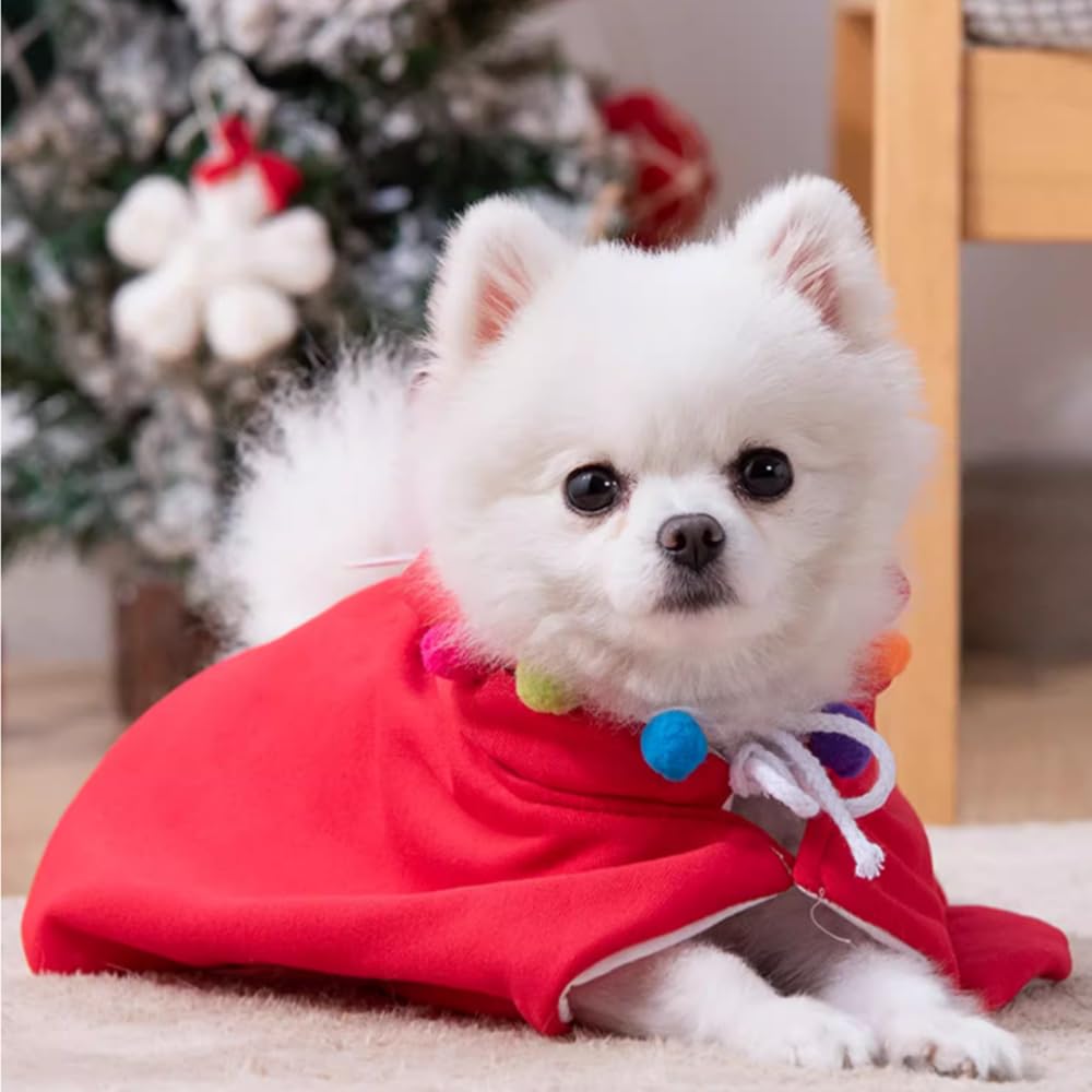 NACOCO Costume De Noël Pour Animal De Compagnie Avec Bonnet De Père Noël – Pour Chien Et Chat (rouge, Taille M