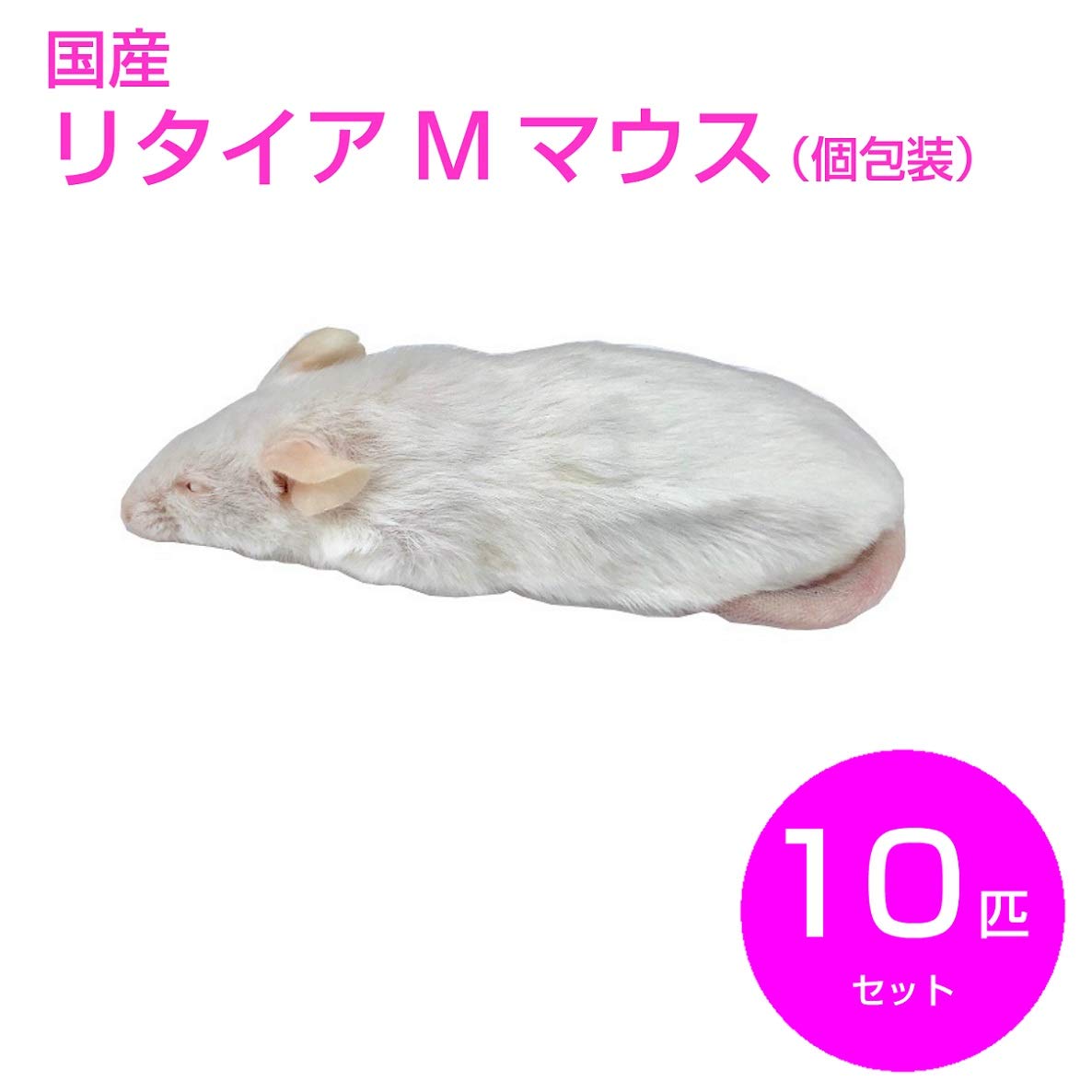 Amazon | 冷凍マウス リタイアM 10匹 国産 SAfarm | SAfarm | フード 通販