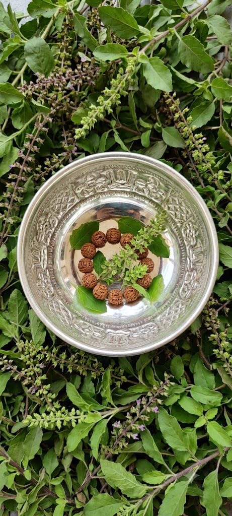 Pure Silver Prasadam Bowl for Pooja - Intricately Engraved Silver Nakshi Katori for Mandir, Sacred Offerings, Bhog, and Home Altar Rituals - Ideal Spiritual Gifting Item Set of 1 PCs 180 ML-image-16
