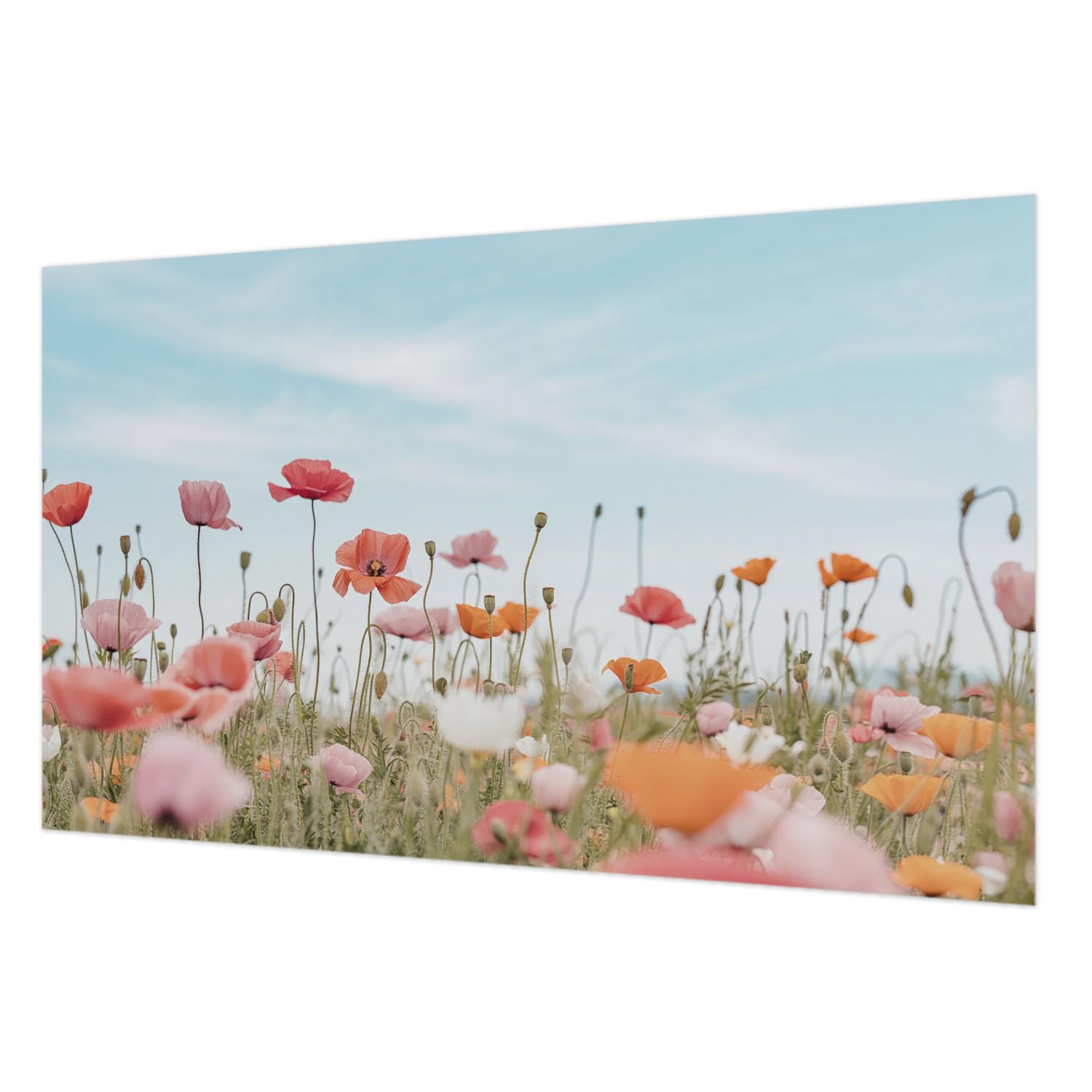 Tapisserie intissée fleurs de coquelicot 416x254 cm pour salon