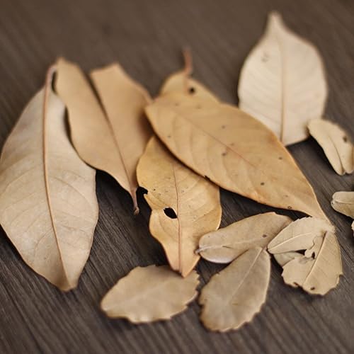 Miniatura 2 de luoem Bosque DIY CraftAdornos para fotografía antecedentes ramas de madera Photo Props