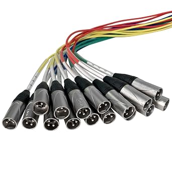 Seismic Audio - SARMSS-16x310-16 Channel XLR TRS Combo Splitter Snake Cable - 3' and 10' XLR Trunks