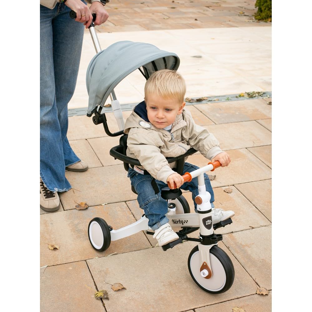 Interbaby Norby: 5 in 1 Dreirad und Laufrad mit Verdeck, 1 bis 5 Jahre