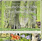 Deutschlands alte Buchenwälder: UNESCO-Weltnaturerbe Jasmund, Serrahn, Grumsin, Hainich und Kellerwald - Karl Heinz Engel 