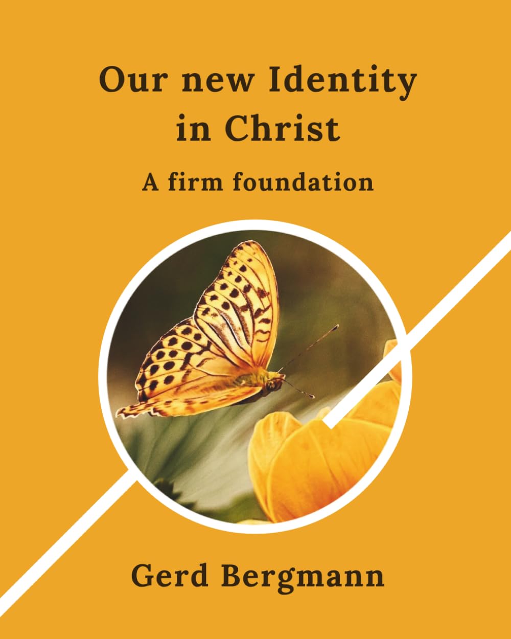 Our New Identity in Christ: A Firm Foundation (The Transformation Modules)