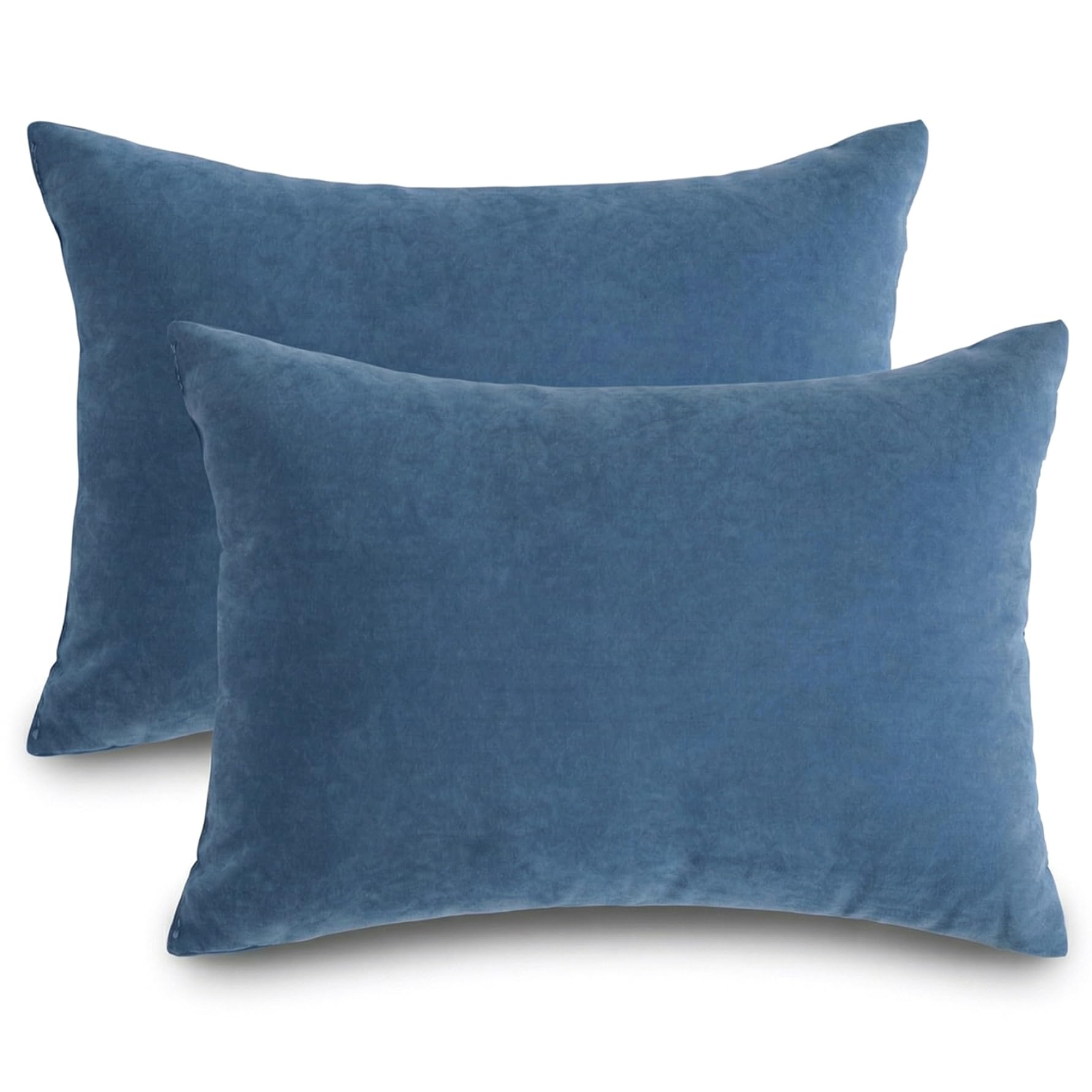 Licsaliwe Mini Pillows - 2 Pack Soft Microfiber Travel Pillow, 18x13 Inch for Sleeping Nap Pets Machine Washable(Blue)