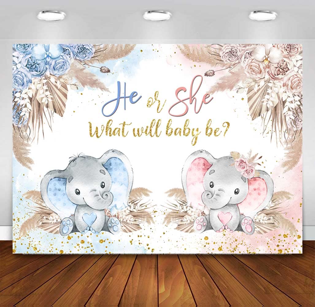 Boho Fotohintergrund Für Gender Reveal Party – 2,1x1,5 M Mit Pampasgras & Blumen, Waschbarer Stoff Für Baby Shower
