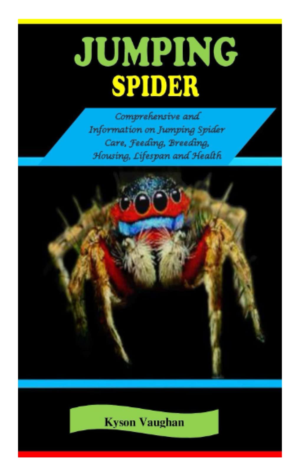 Buy Jumping Spider JUMPING SPIDER Comprehensive and information on