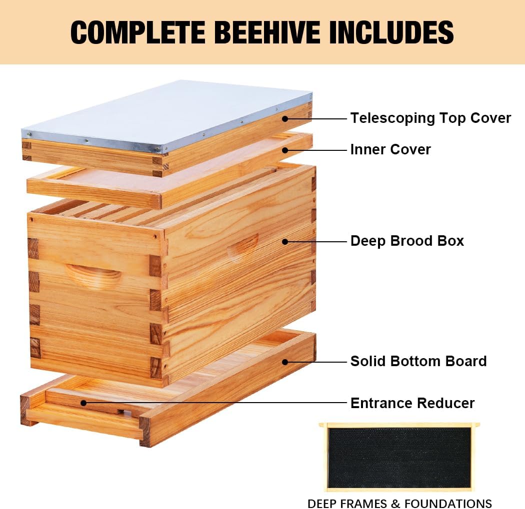 5 Frame Nuc Complete Bee Hive Kit Langstroth Beehive Box Dipped in Beeswax Include Beehive Frames and Waxed Foundation Sheets