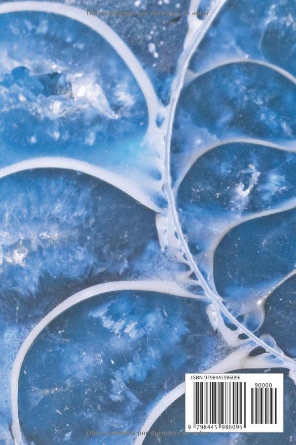 Miniatura 2 de FÓSILES. CUADERNO DE REGISTRO Lleve un seguimiento detallado de cada fósil de su colección Regalo práctico y creativo para paleontólogos